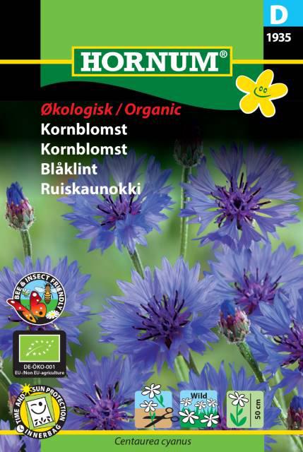 Økologisk Kornblomst, Single Blue