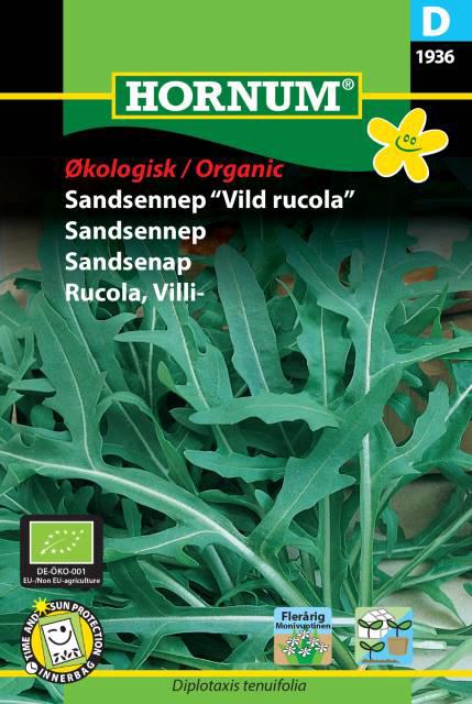 Økologisk Sandsennep “Vild rucola”,