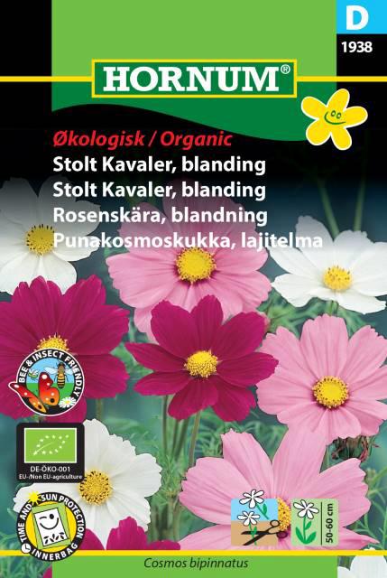ØKO, Stolt Kavaler, blanding, Cosmea
