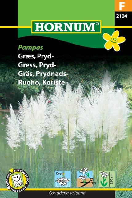 Græs, Pryd-, Pampas