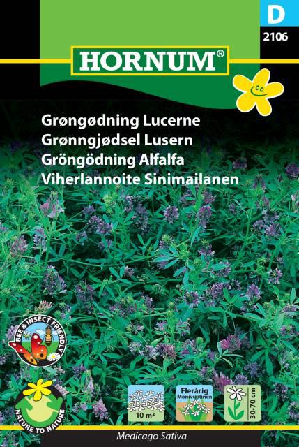 Grøngødning Lucerne