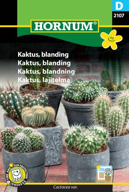 Kaktus, blanding