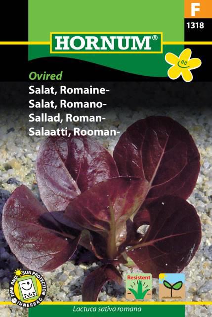 Salat, Romainesalat, Ovired