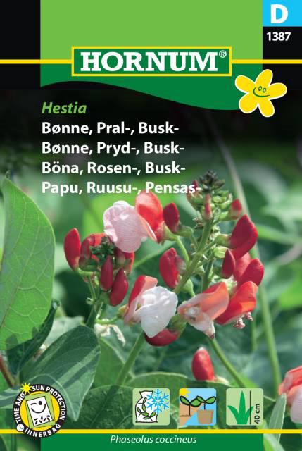 Bønne, Pralbønne, Hestia