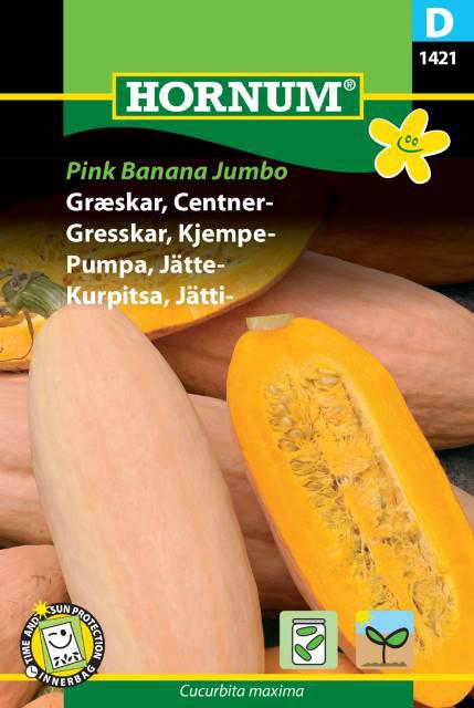 Græskar, Centnergræskar, Pink Banana Jum