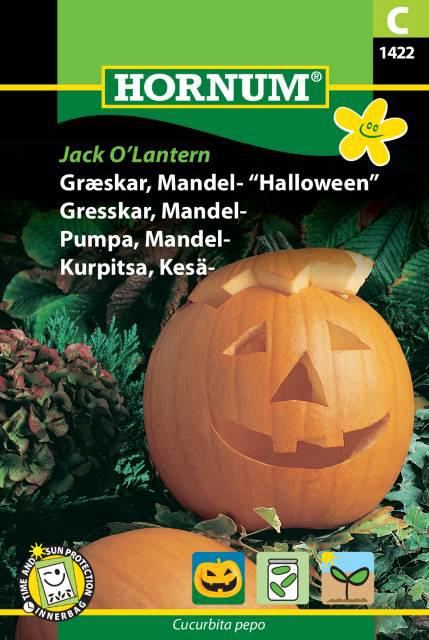 Græskar, Mandelgræskar, Jack O'Lantern