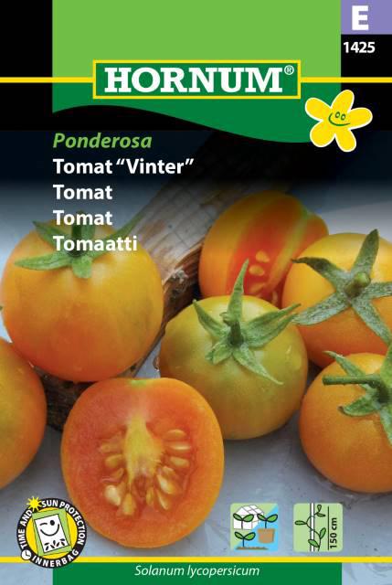 Tomat,  Ponderosa Vinter