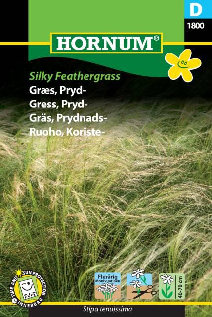 Græs, Prydgræs, Silky Feathergrass