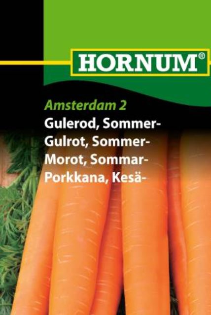 Gulerod, Sommergulerod, Amsterdam 2