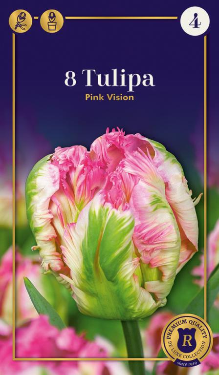 TULIPA PINK VISION