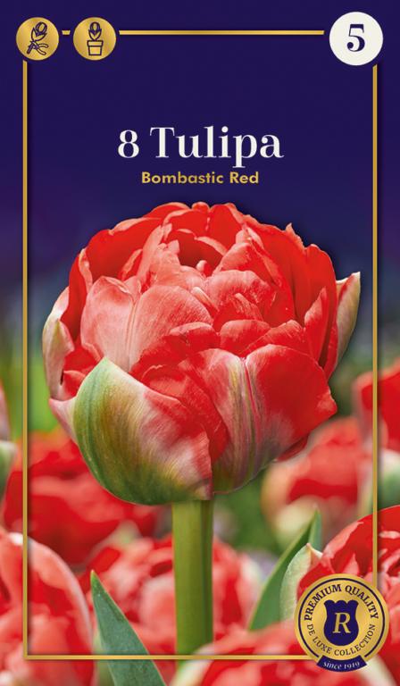 TULIPA BOMBASTIC RED