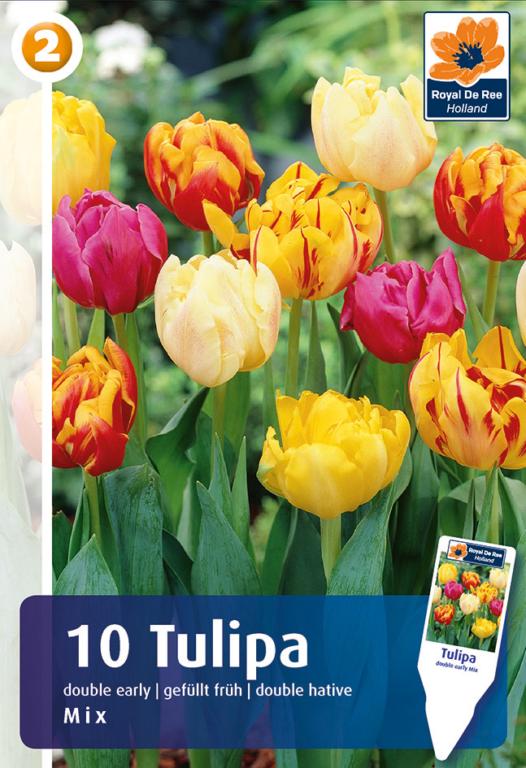 TULIPA Dobbelt tidlig MIX