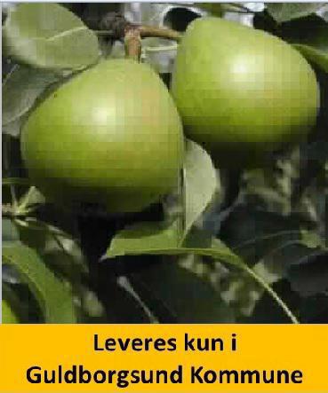 PÆRE CLARA FRIJS