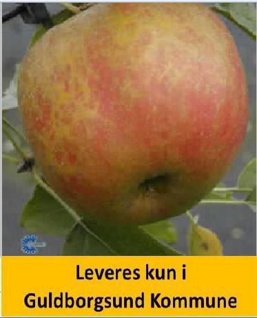 ÆBLE BELLE DE BOSKOOP-RØD-