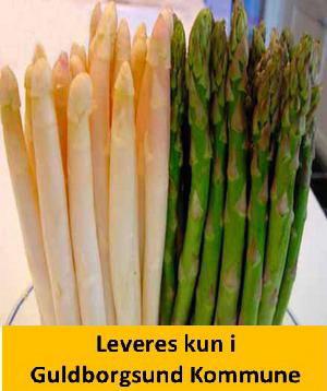 ASPARGES  Backlim F1