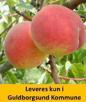 Fersken Red Heaven