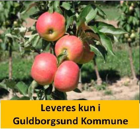 Æble Søjle Starcats