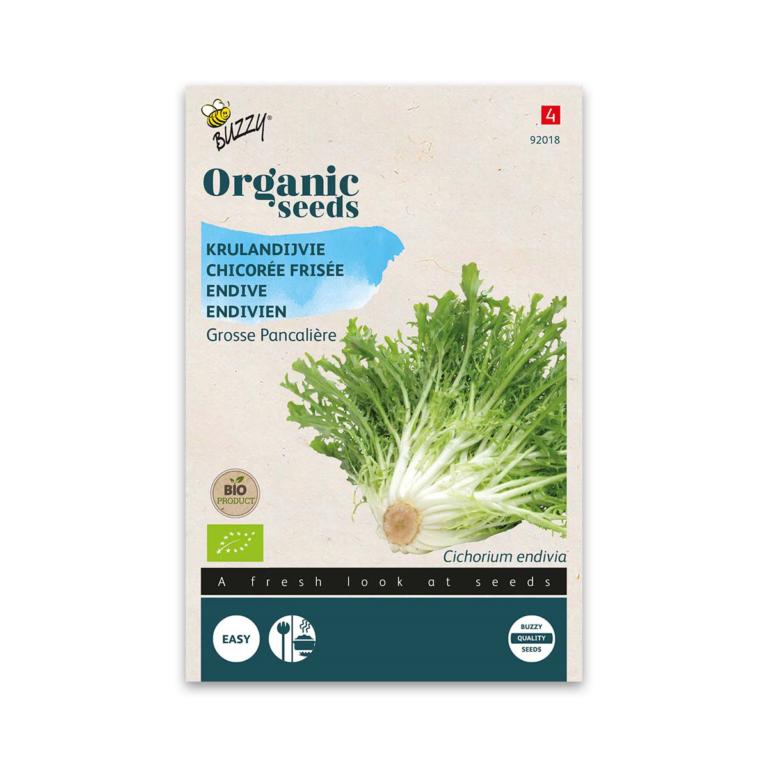 Buzzy Økologisk Frisée salat frø, Grosse