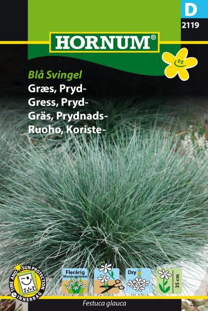 Græs, Prydgræs, Blåsvingel