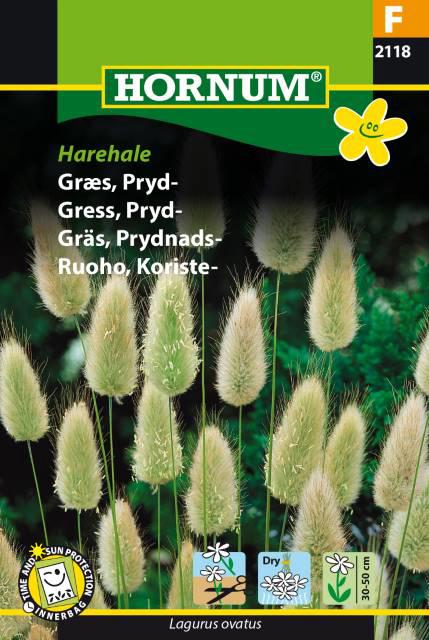 Græs, Prydgræs, Harehale