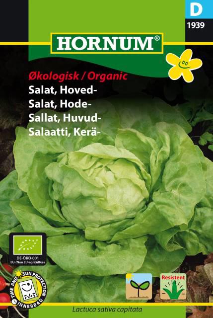 ØKO, Salat, Hovedsalat, Attraktion