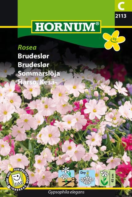 Brudeslør, Rosea