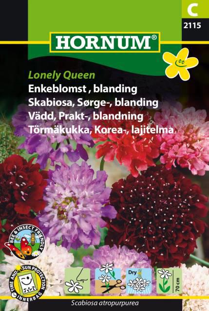 Enkeblomst, Lonely Queen