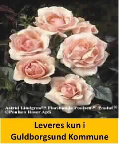 ASTRID LINDGREN™