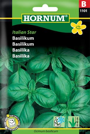 Basilikum, Italian Star