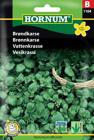 Brøndkarse