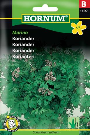 Koriander, Marino