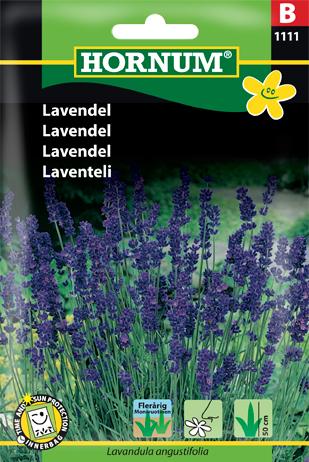 Lavendel, blå