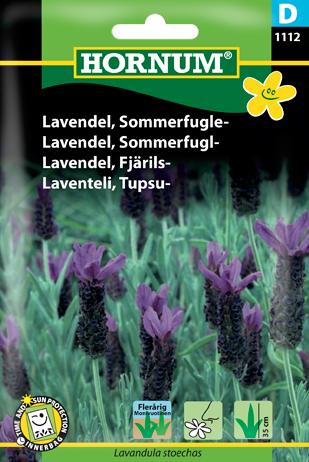 Lavendel, Sommerfugle, Hornum