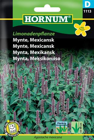 Indianermynte, Alm. Anisisop