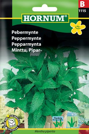 Pebermynte