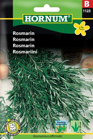 Rosmarin,