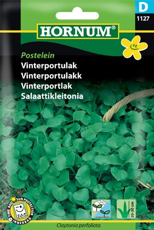 Portulak, Vinterportulak, Postelein