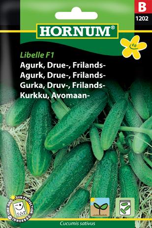 Agurk, Drueagurk, Frilandsagurk, Libelle