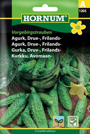 Agurk, Drue-, Frilands-, Vorgebirgstraub