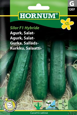 Agurk, Salatagurk, Silor F1 Hybride