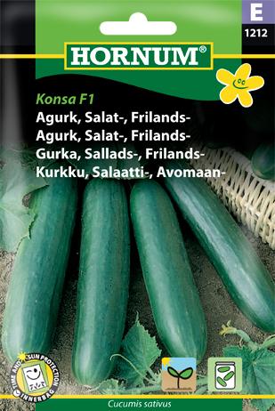 Agurk, Salat-, Frilands-, Konsa F1