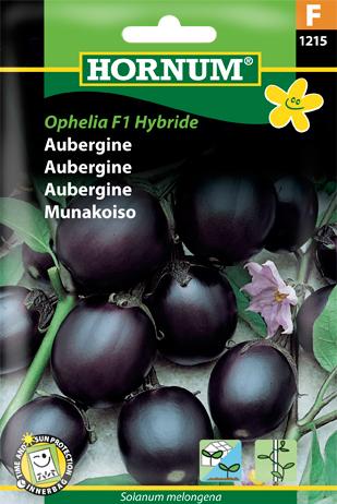 Aubergine, Kaberi (TSX 250) F1