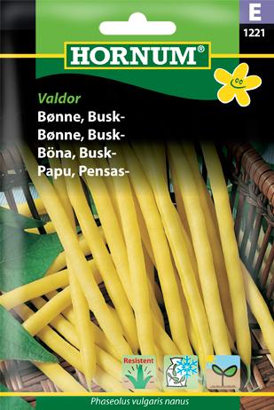 Bønne, Buskbønne, Dior
