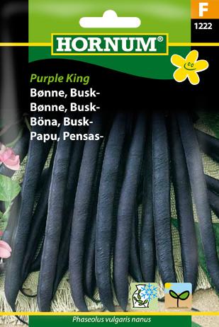 Bønne, Buskbønne, Purple King
