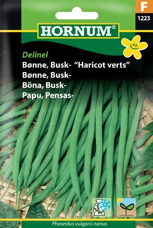 Bønne, Buskbønne, Delinel/Haricot Verts