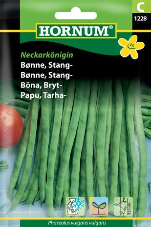 Bønne, Stangbønne, Neckarkönigin