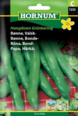 Bønne, Valsk-, Hangdown Grünkernig