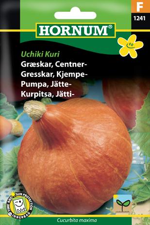 Græskar, Centnergræskar, Uchiki Kuri