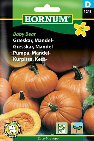 Græskar, Mandelgræskar, Baby Bear
