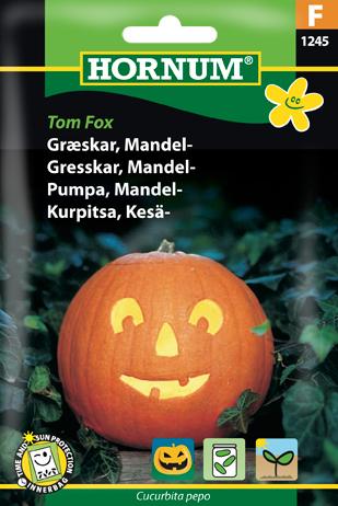 Græskar, Mandel-, Tom Fox